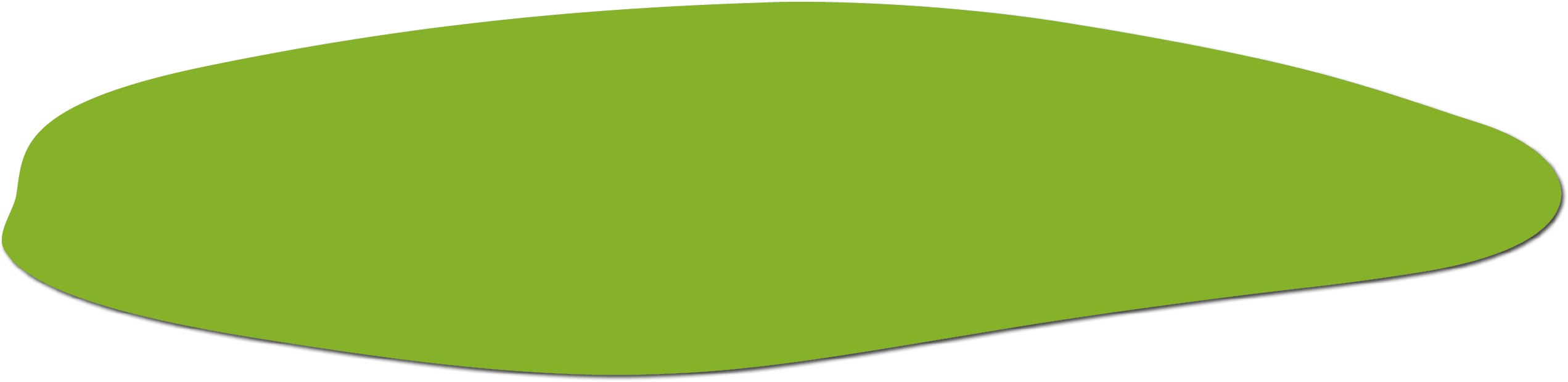 Polygon