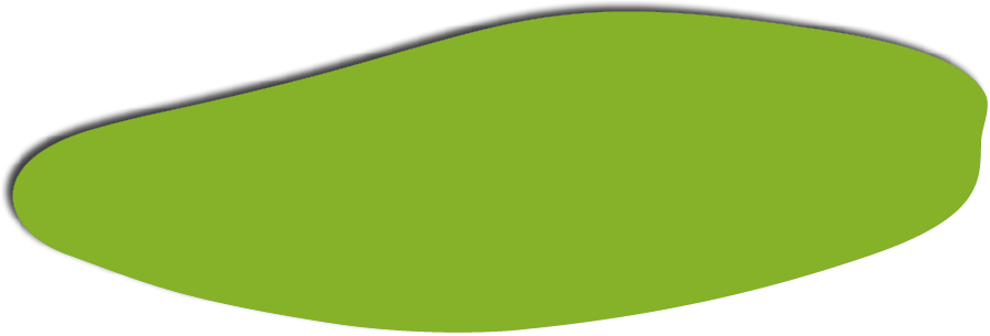 Polygon