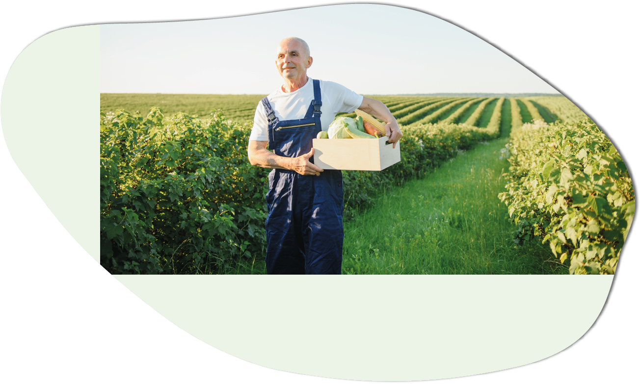 farmer carrying box of picked vegetables