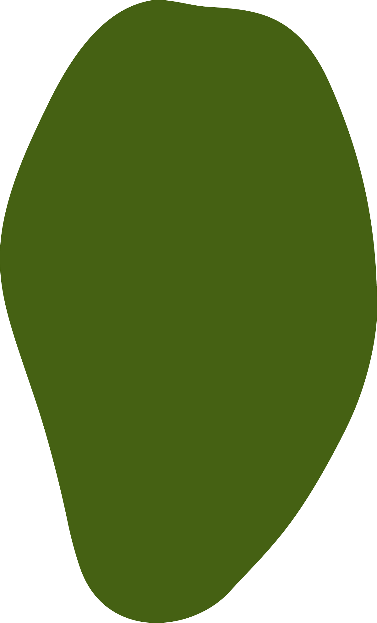 Polygon