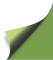 A green and white striped object is shown in a close up view. AI generated content