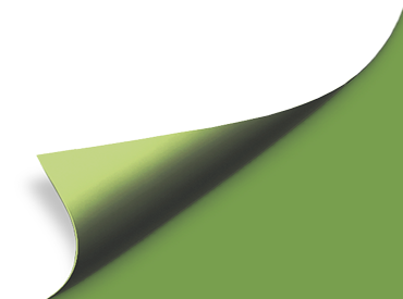 A green and white striped object is shown in a close up view. AI generated content