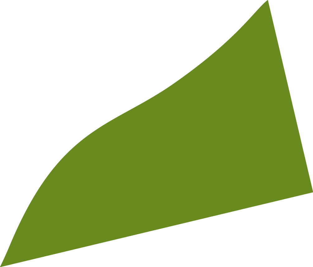 Polygon
