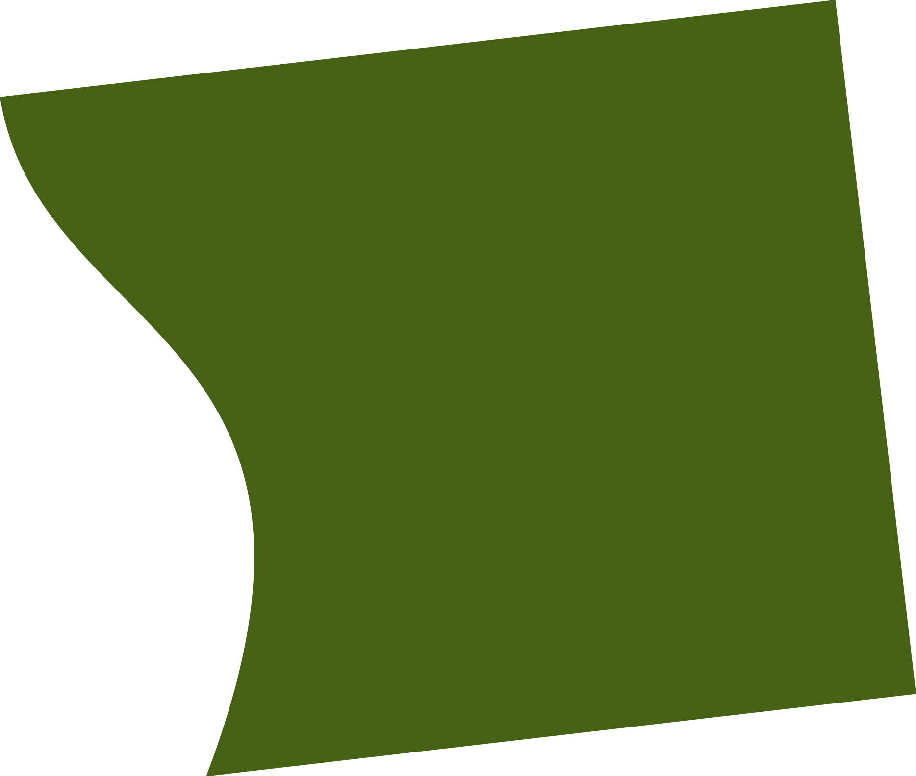 Polygon