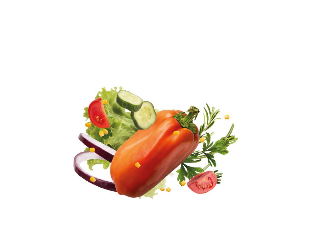 Collection of various ripe vegetables levitating in the air over green background. Fresh bell-pepper, greens, tomatoe, cucumber, onion, corn floating up, healthy recipes for summer concept