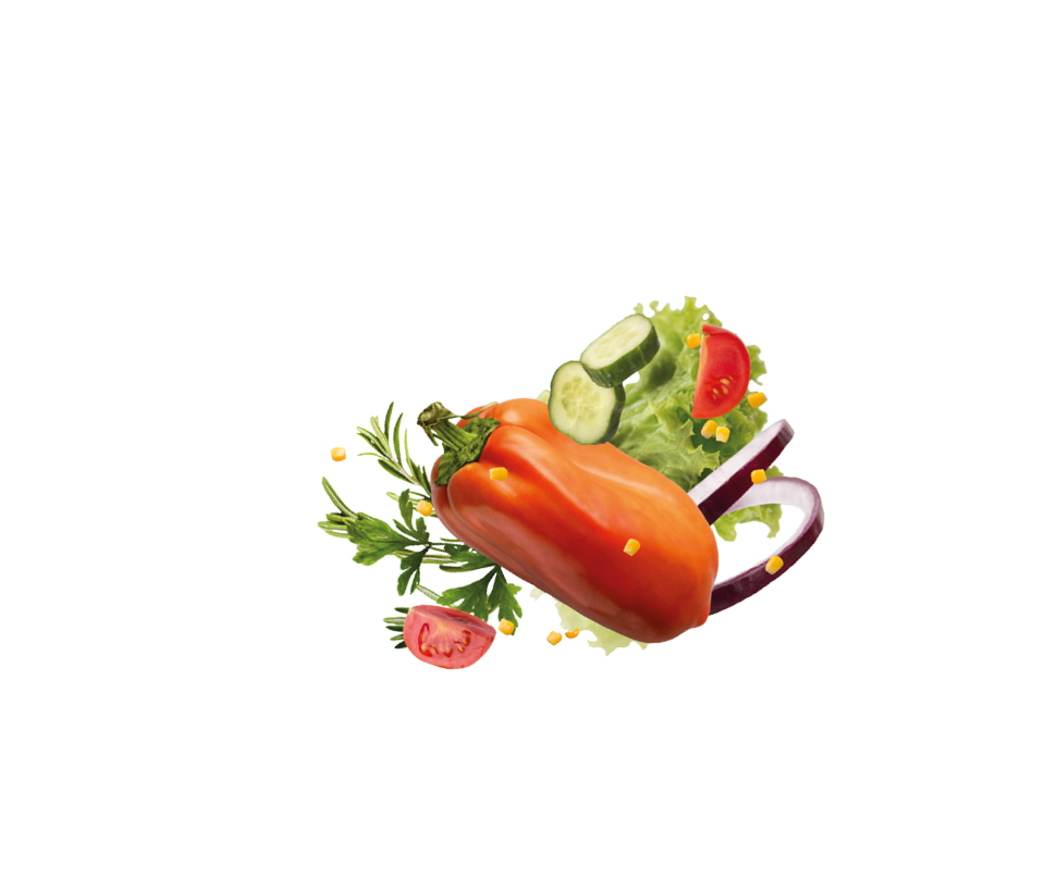 Collection of various ripe vegetables levitating in the air over green background. Fresh bell-pepper, greens, tomatoe, cucumber, onion, corn floating up, healthy recipes for summer concept