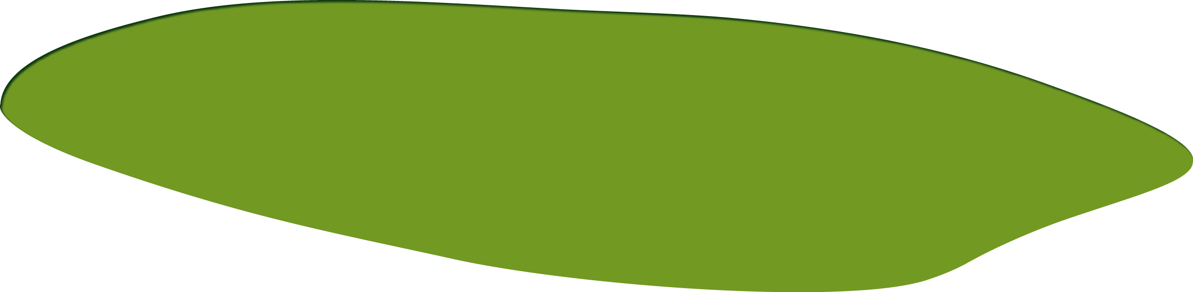 Polygon