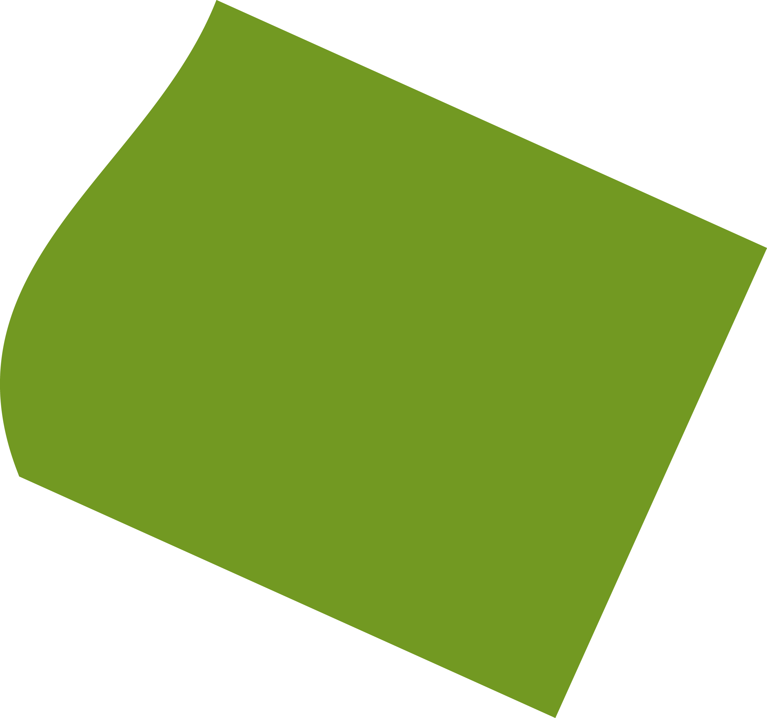 Polygon