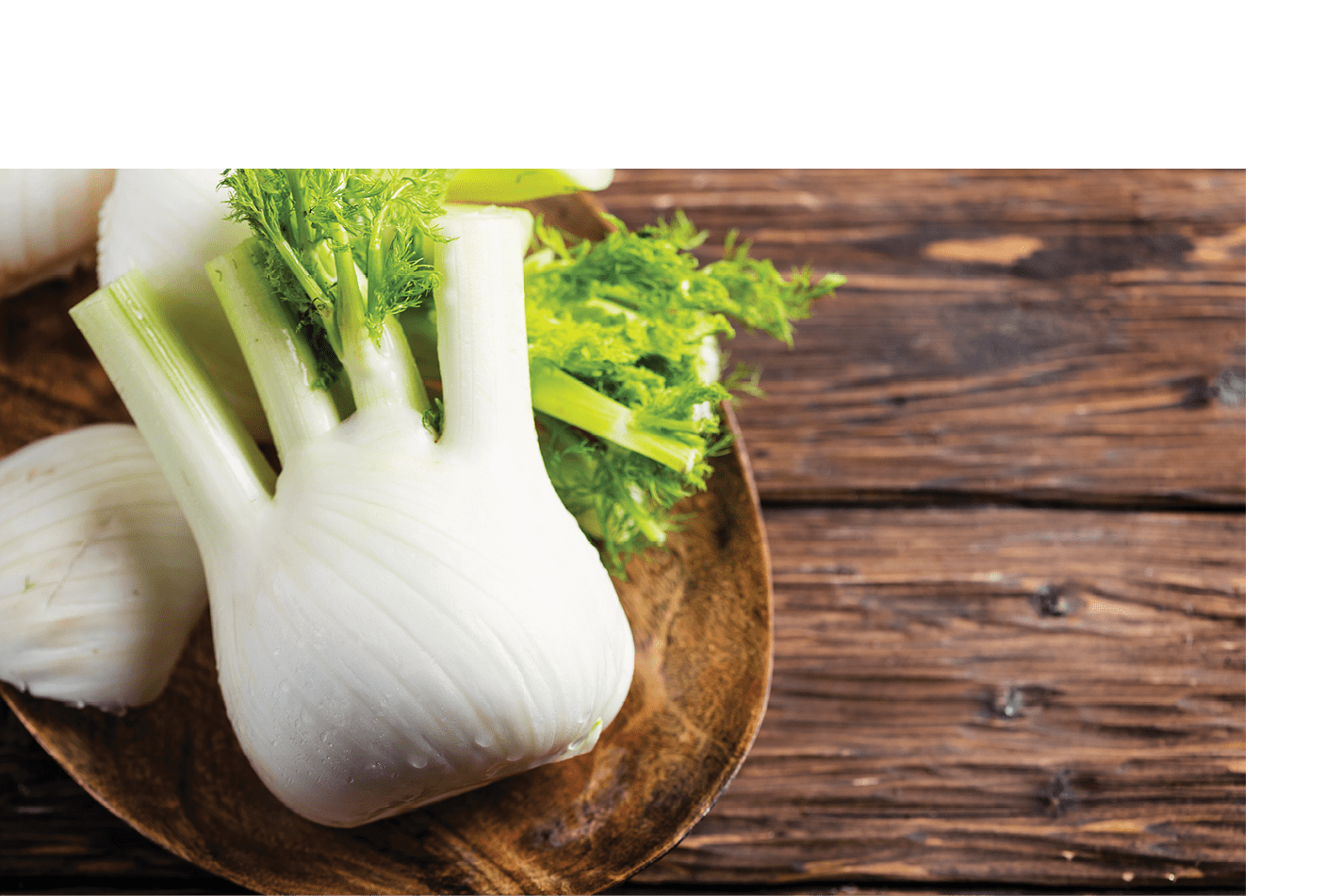 Raw fresh fennel on the rustic wooden table, selective focus