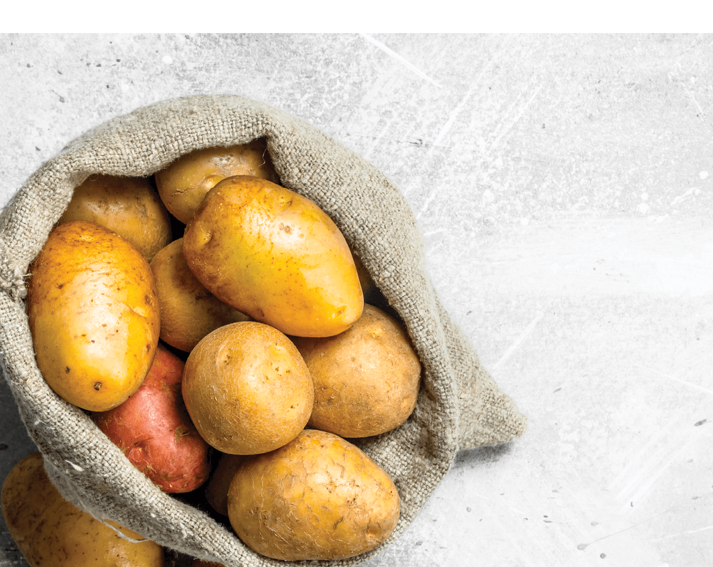 Potatoes in the sack. On white rustic background