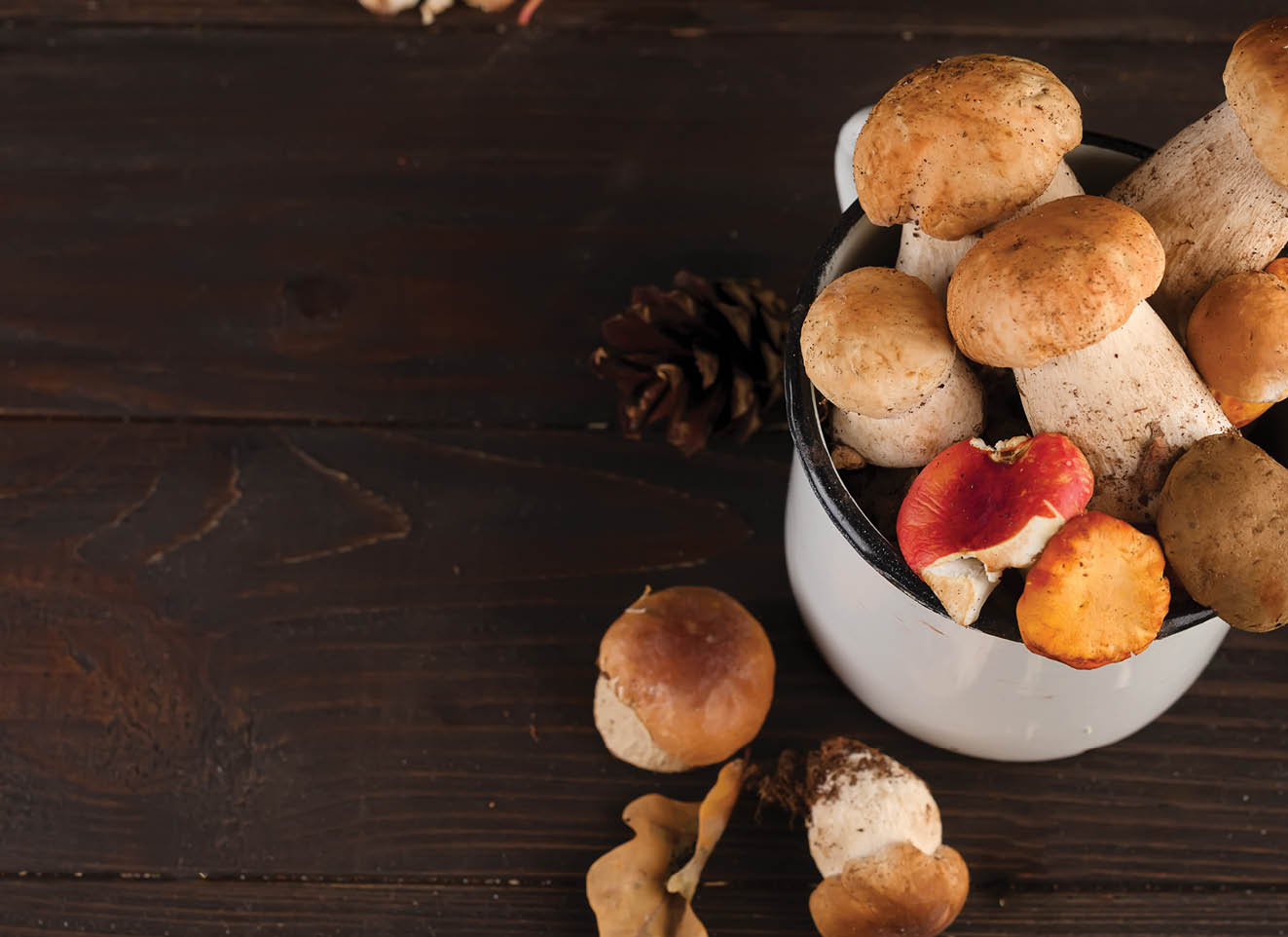 Forest mushrooms on wooden background