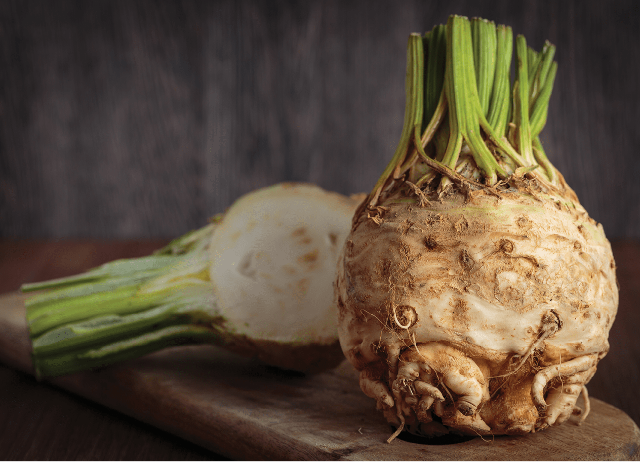 Fresh raw celeriac for an healthy nutrition