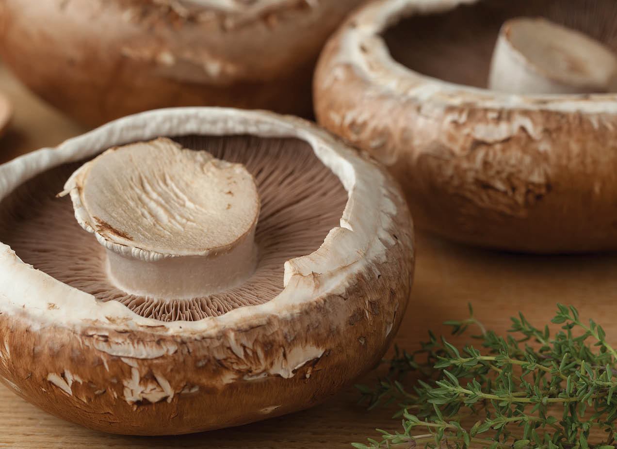 Fresh raw organic portobello mushrooms