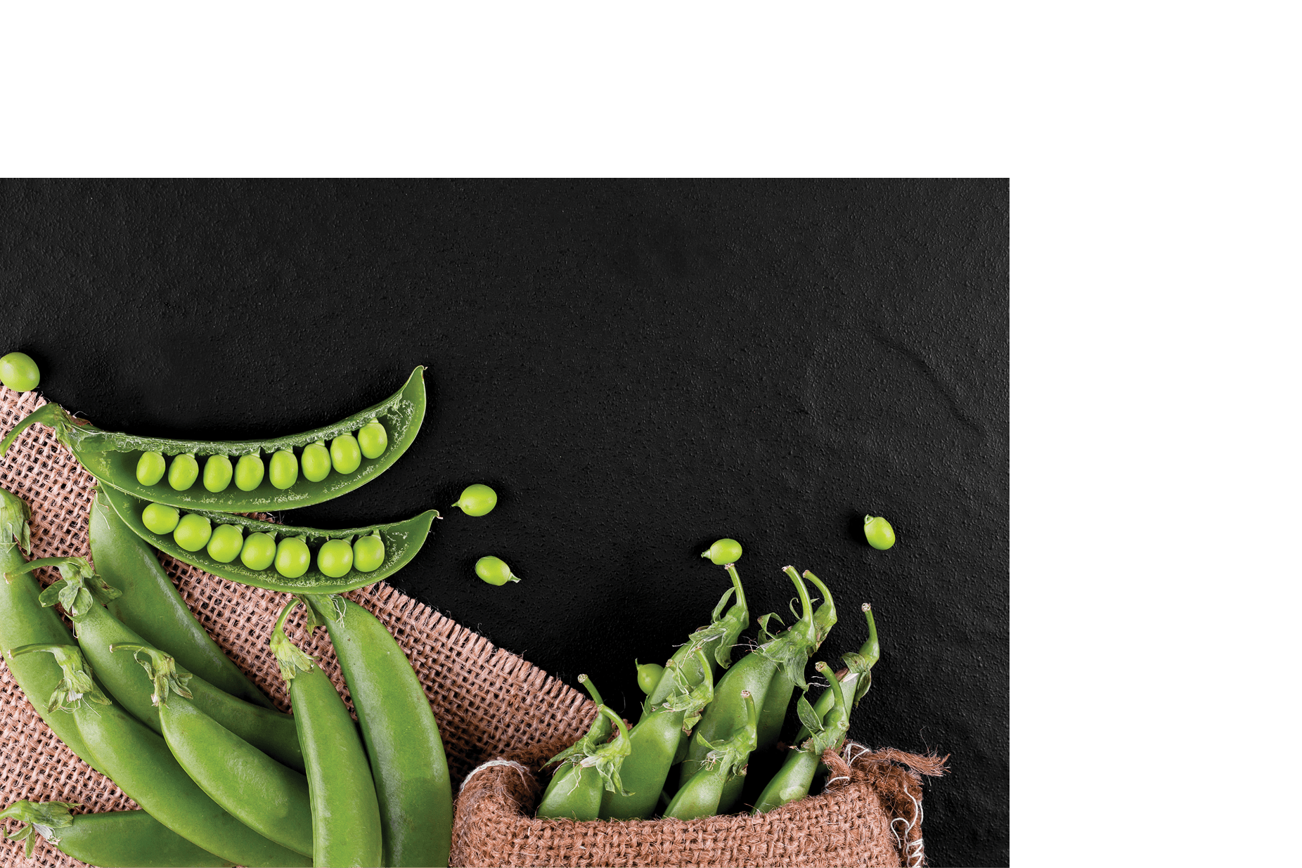 Sugar snap peas with mint on a rustic wood background