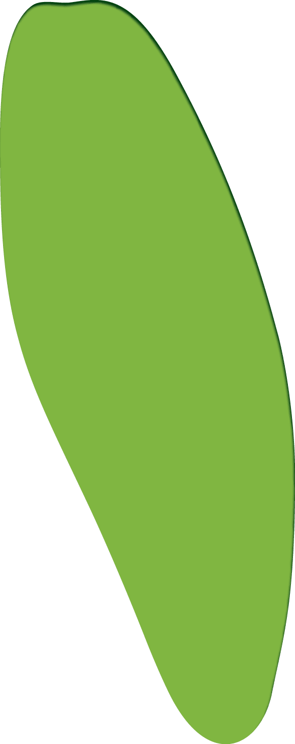 Polygon