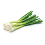 Green onion isolated on the white background; Shutterstock ID 272532080; purchase_order: SEO