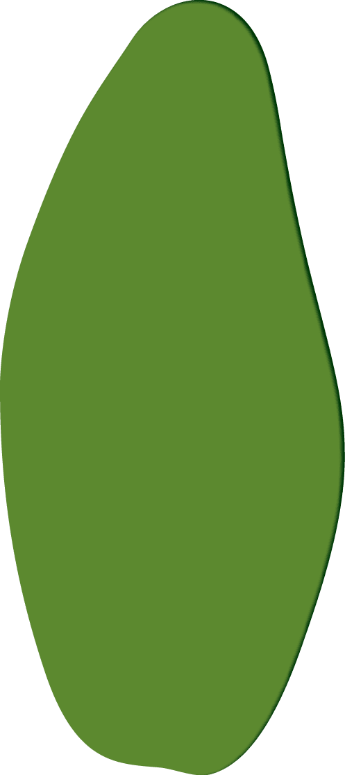 Polygon