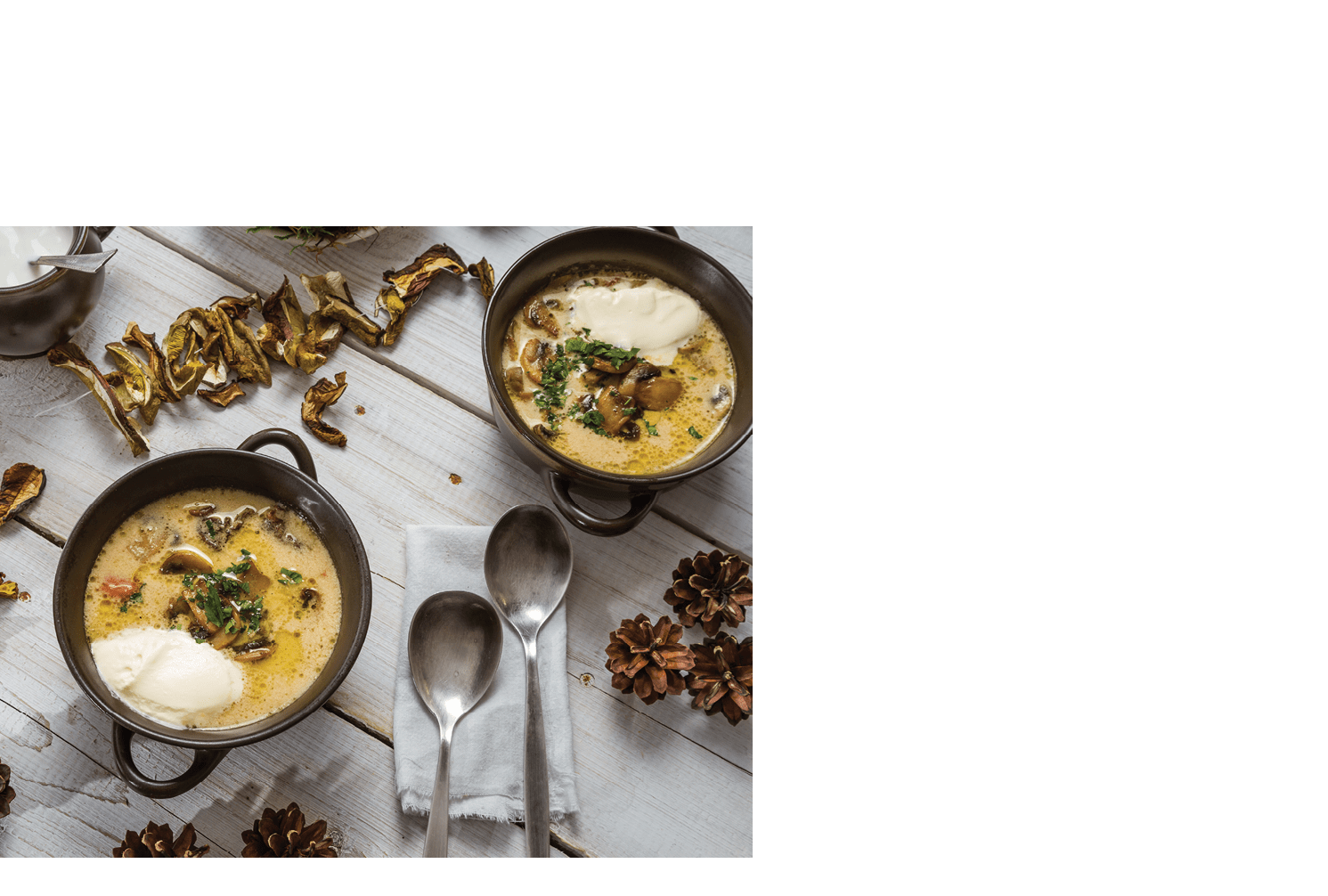 Wild forest mushroom soup