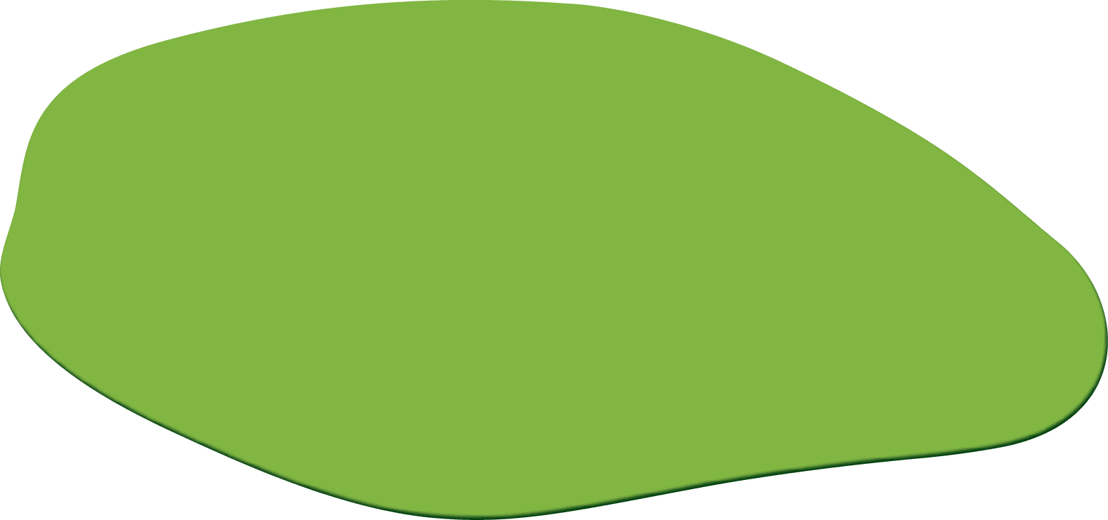 Polygon