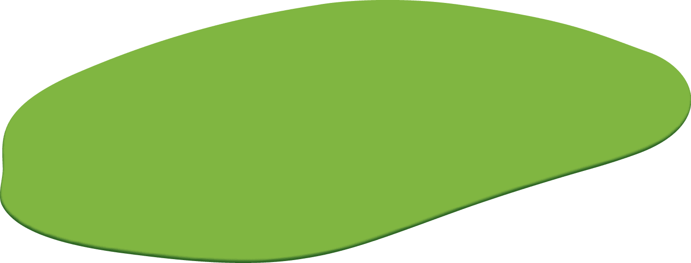Polygon
