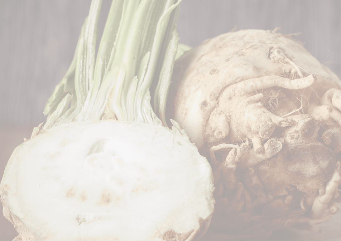 Fresh raw celeriac for an healthy nutrition