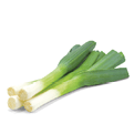 Rectangle