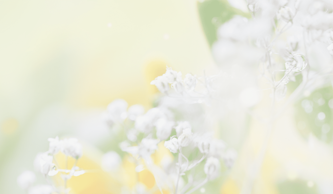 Beautiful abstract light and blurred soft background with flowers in yellow and green colors. Dew drops or rain water on the flower of yellow freesia. Macro image with mirror reflections. 