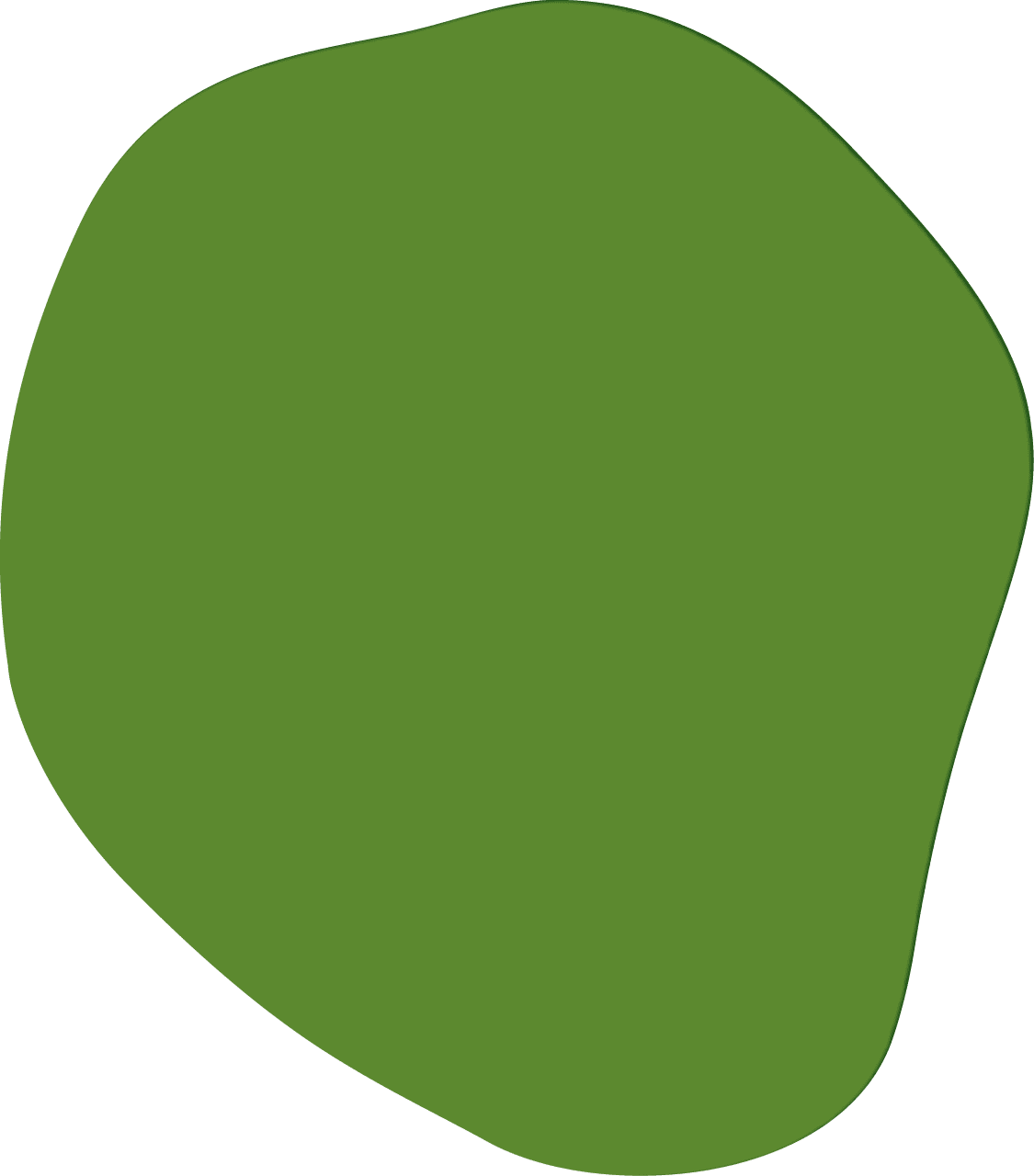 Polygon