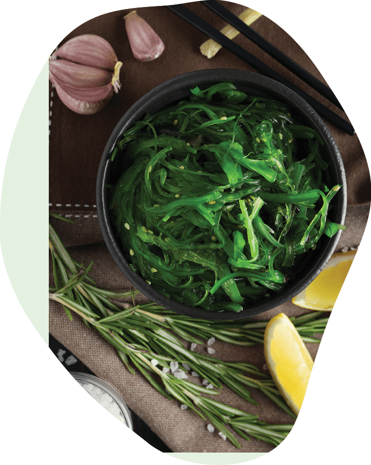 Concept of Japanese cuisine, Chuka salad, top view