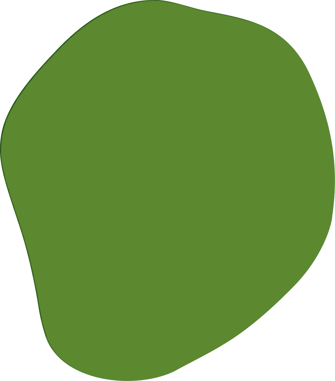 Polygon