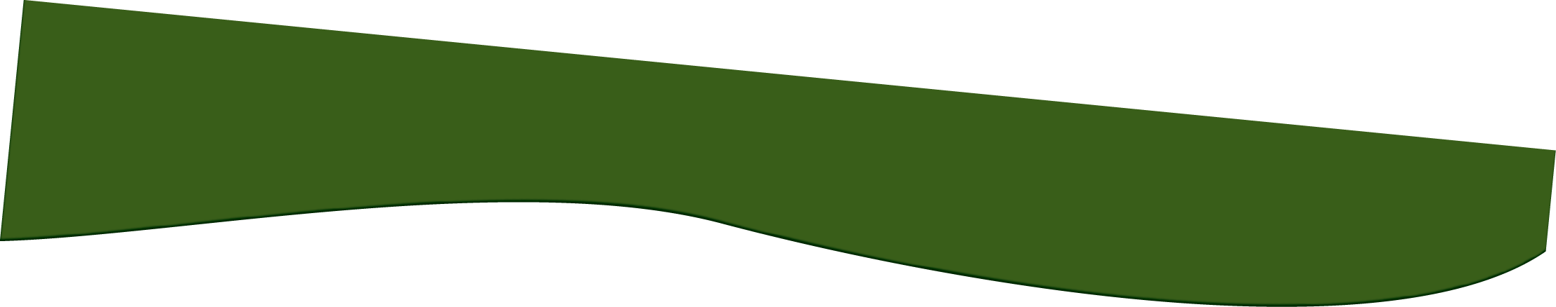 Polygon