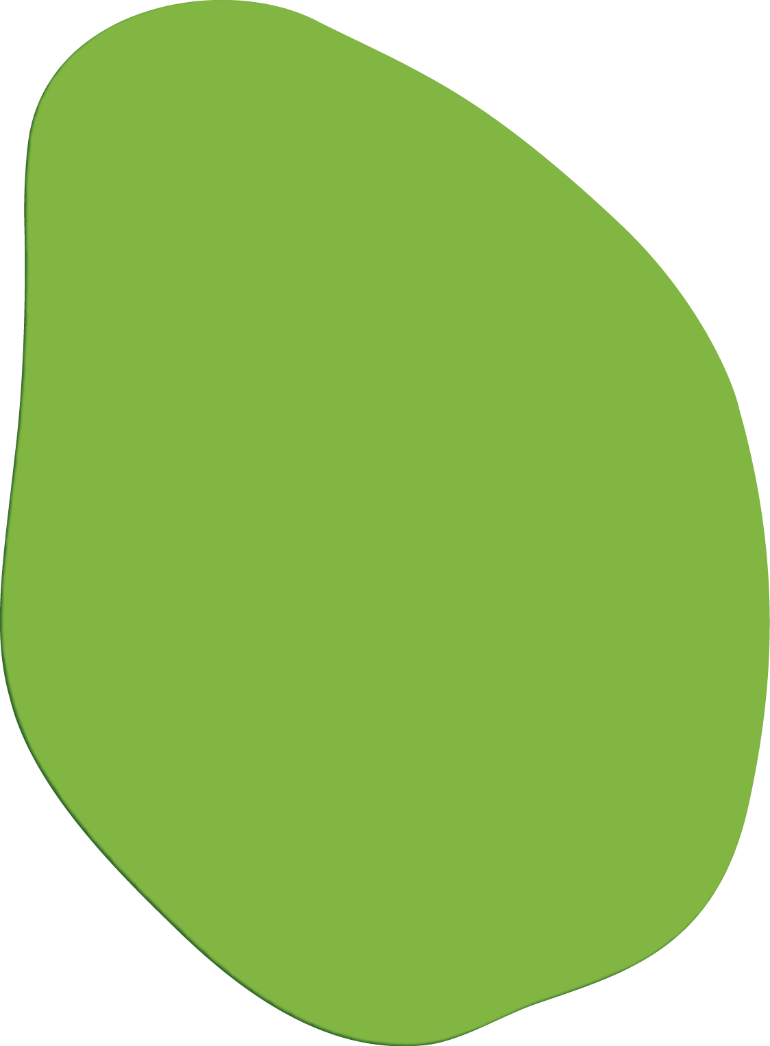 Polygon