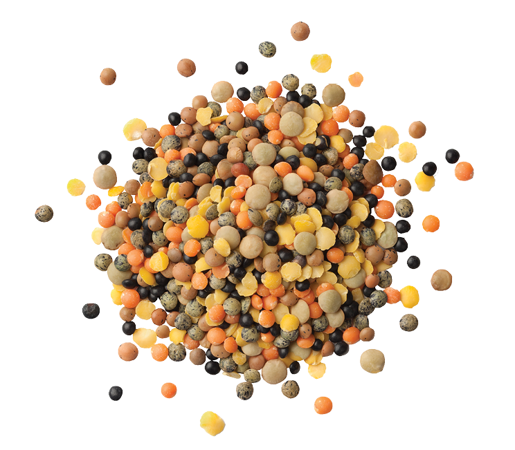 Heap of mixed different types of colorful lentils on white background