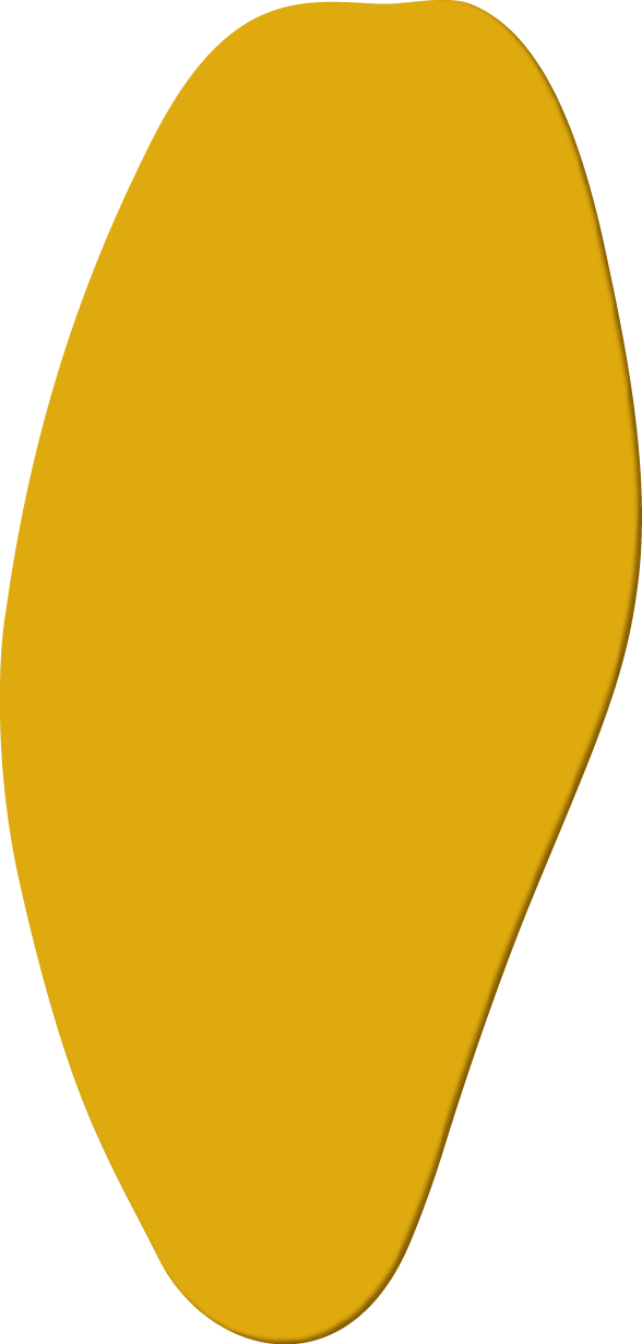 Polygon