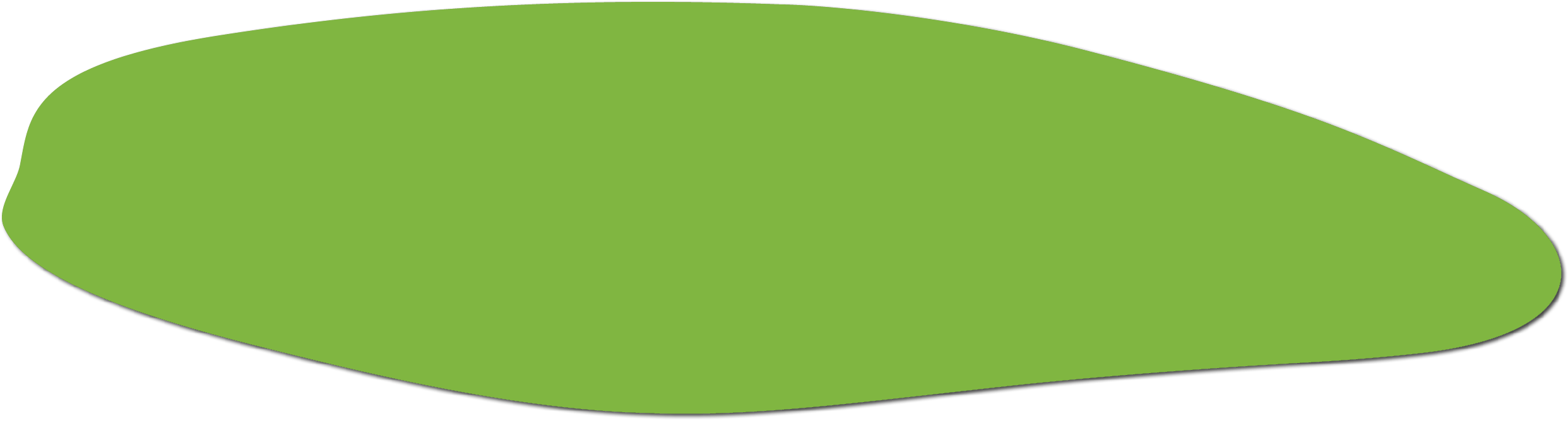 Polygon