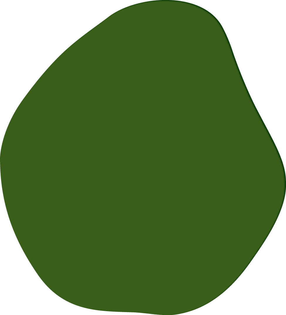 Polygon