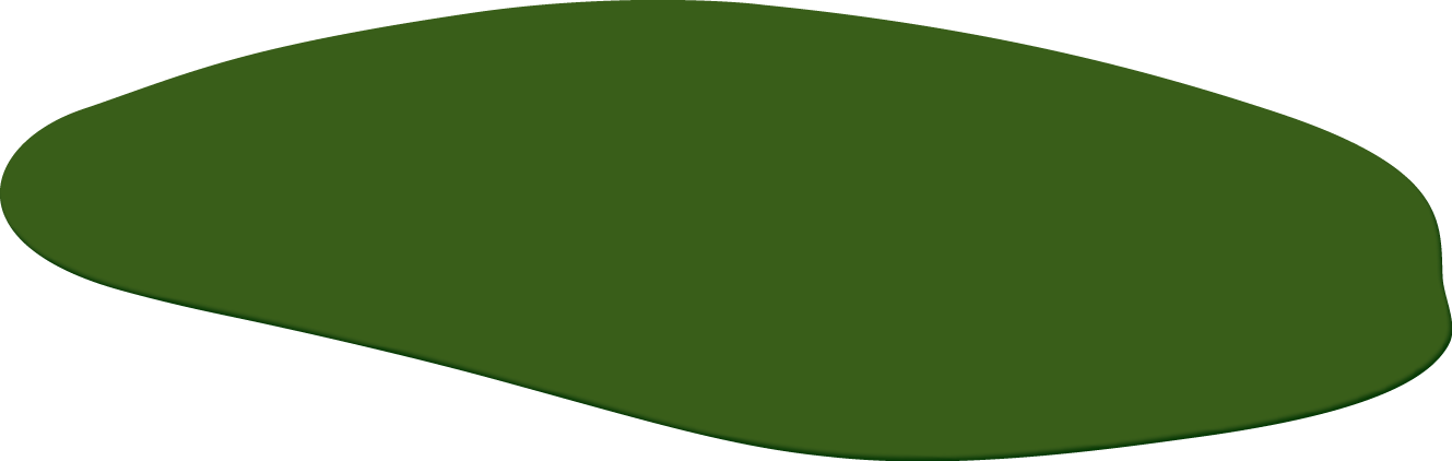Polygon