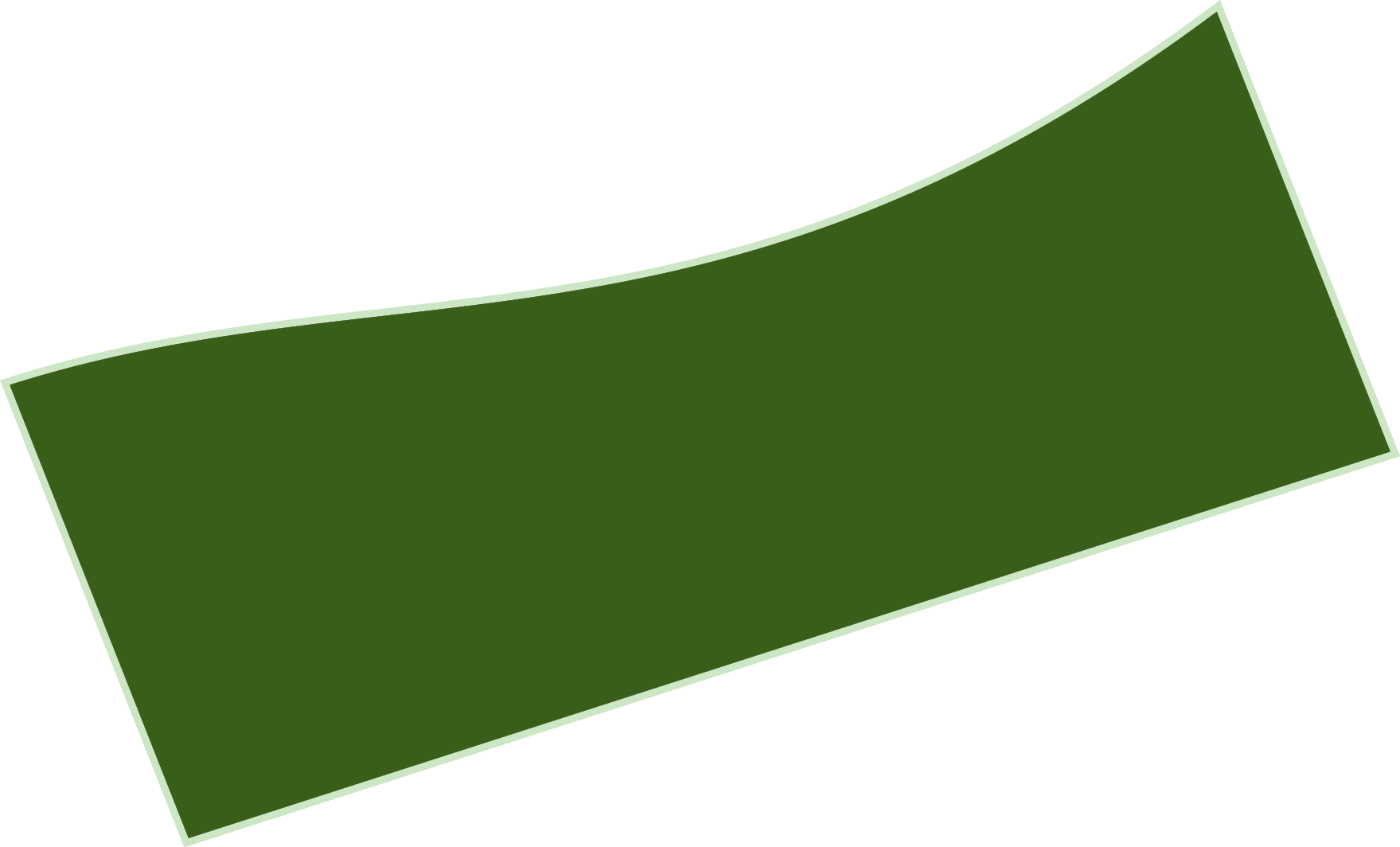Polygon
