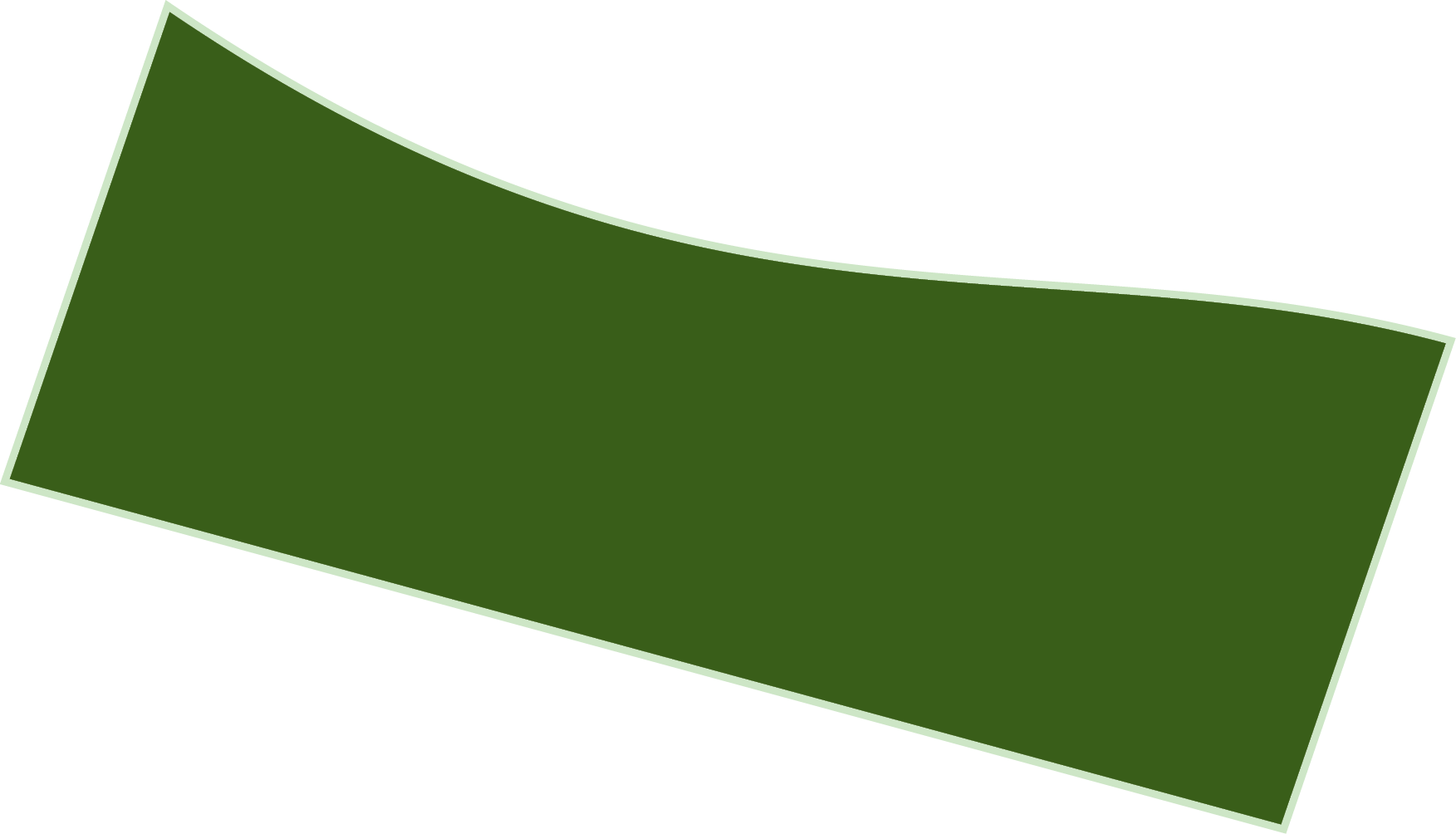Polygon