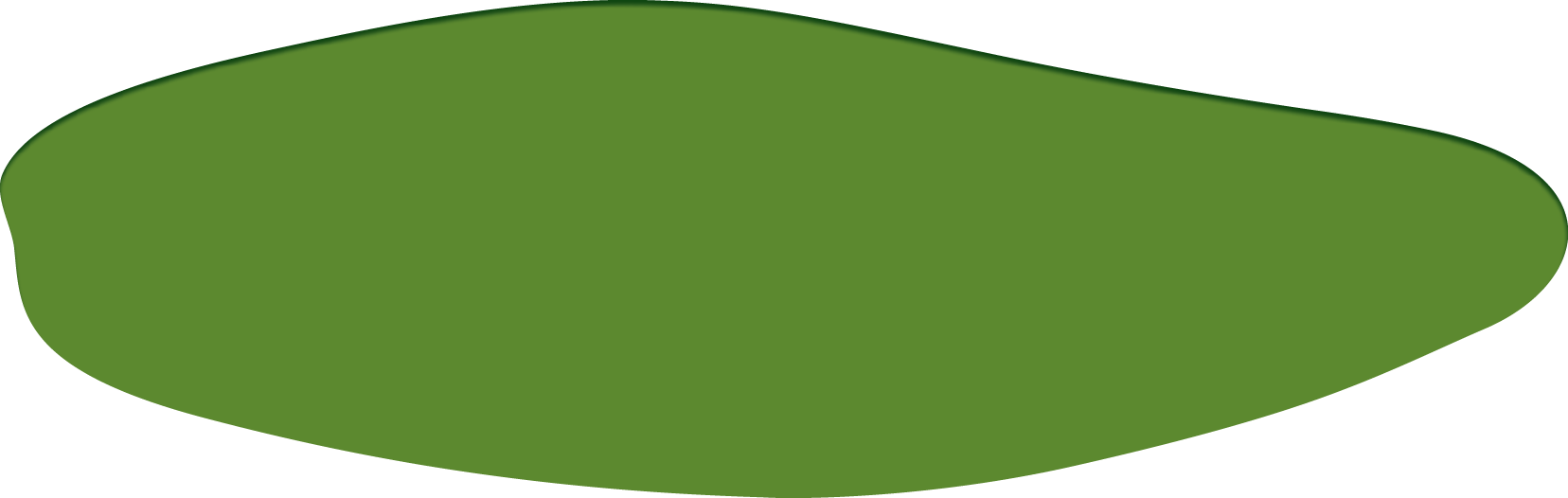 Polygon
