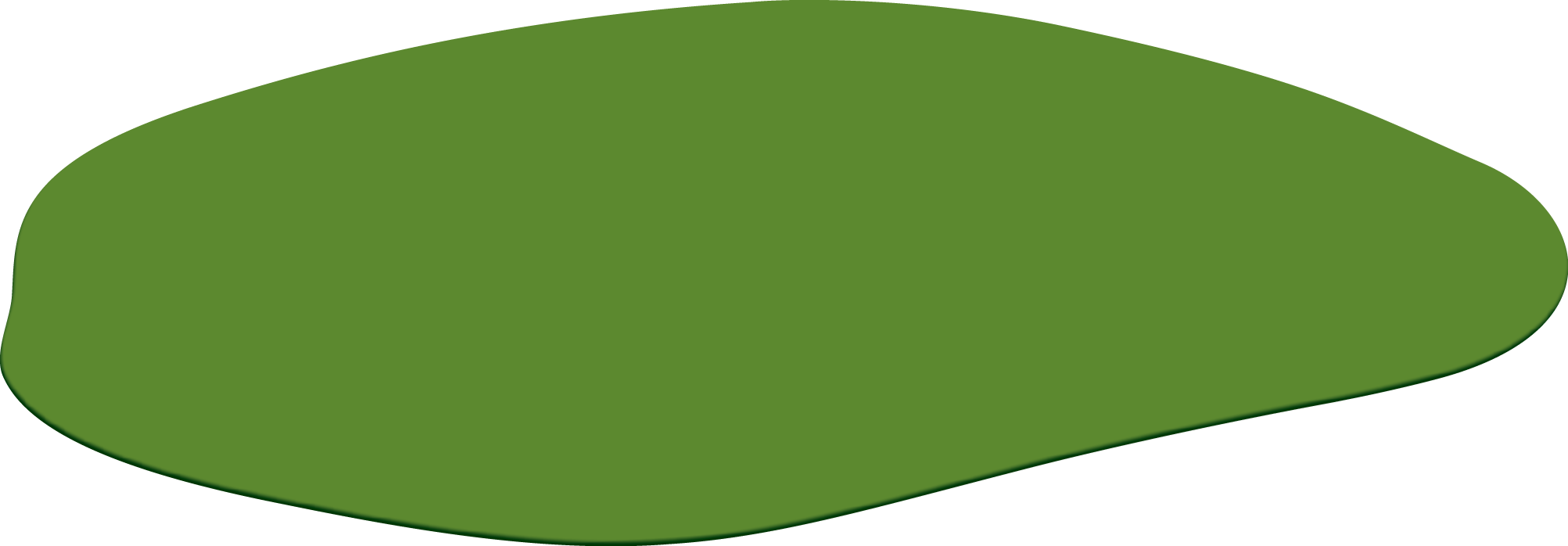 Polygon