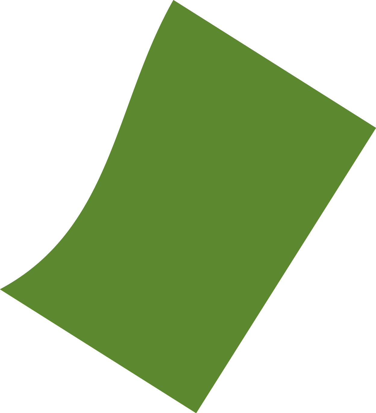 Polygon