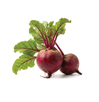 Two red beets with green leaves. Description generated by AI