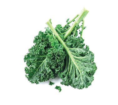 A bunch of green leaves. Description generated by AI