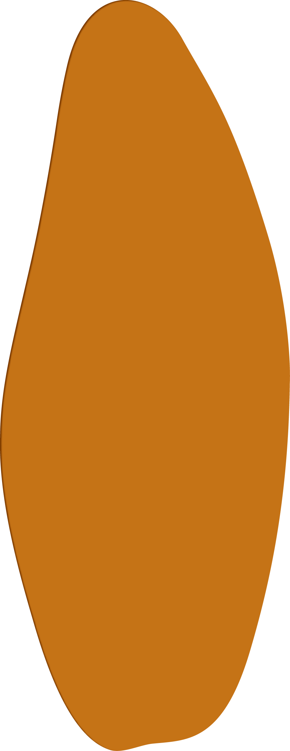 Polygon
