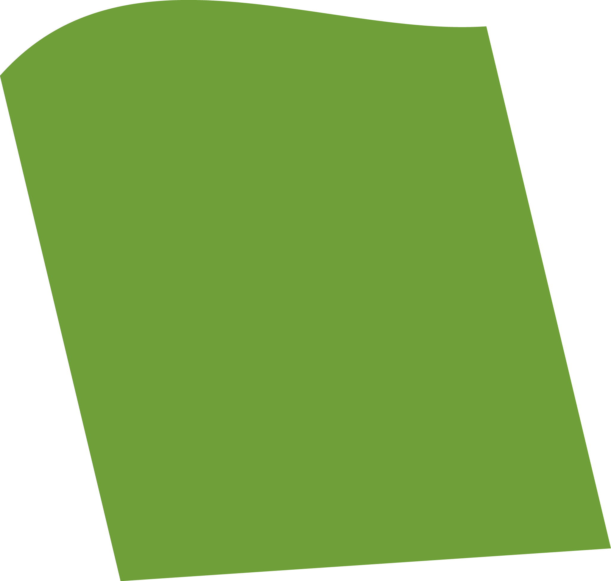 A green and white image of various objects, including fish, eggs, and bottles. AI generated content