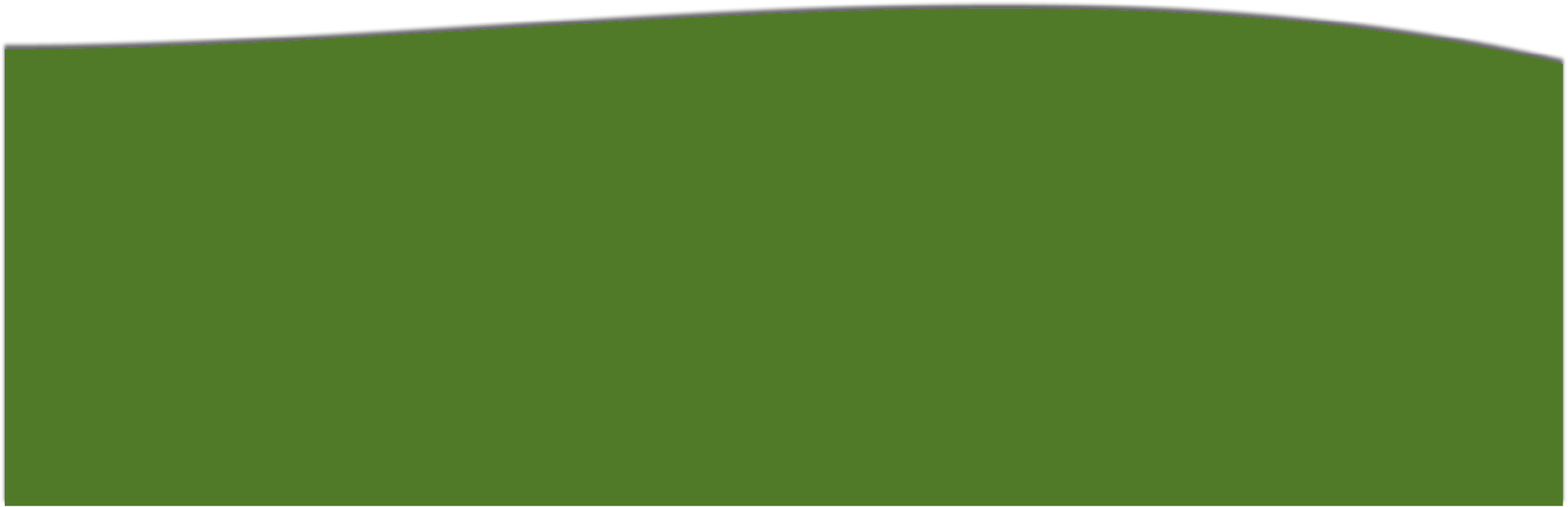 A green and white image of various objects, including fish, eggs, and bottles. AI generated content