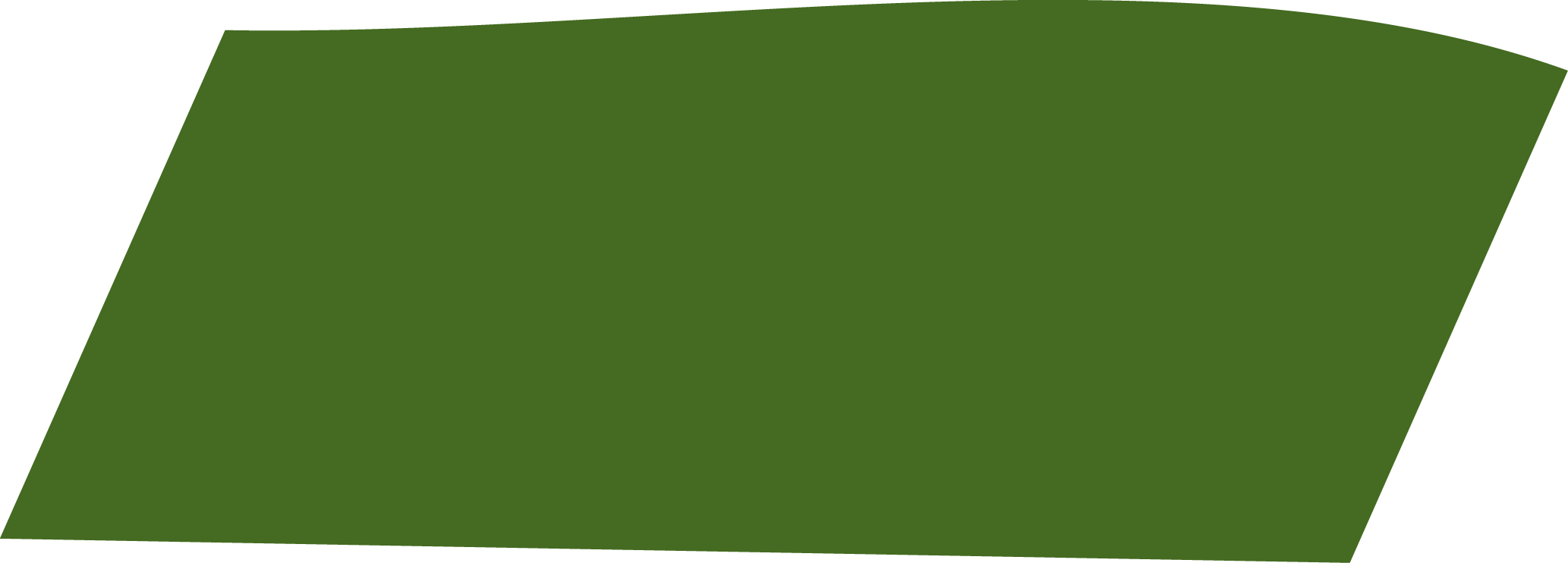 A green and white image of various objects, including fish, eggs, and bottles. AI generated content