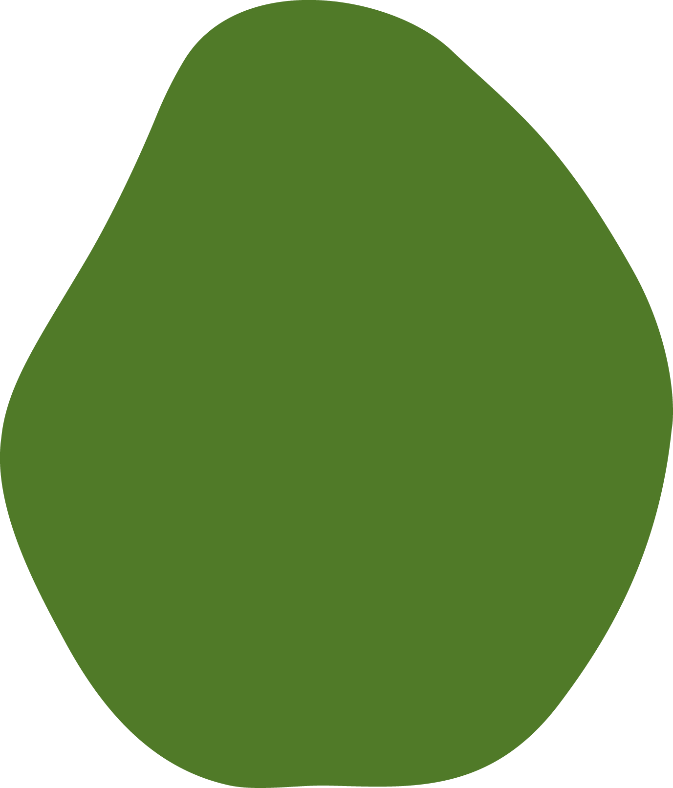 Polygon