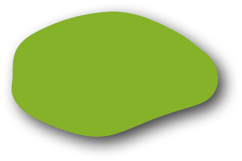 Polygon